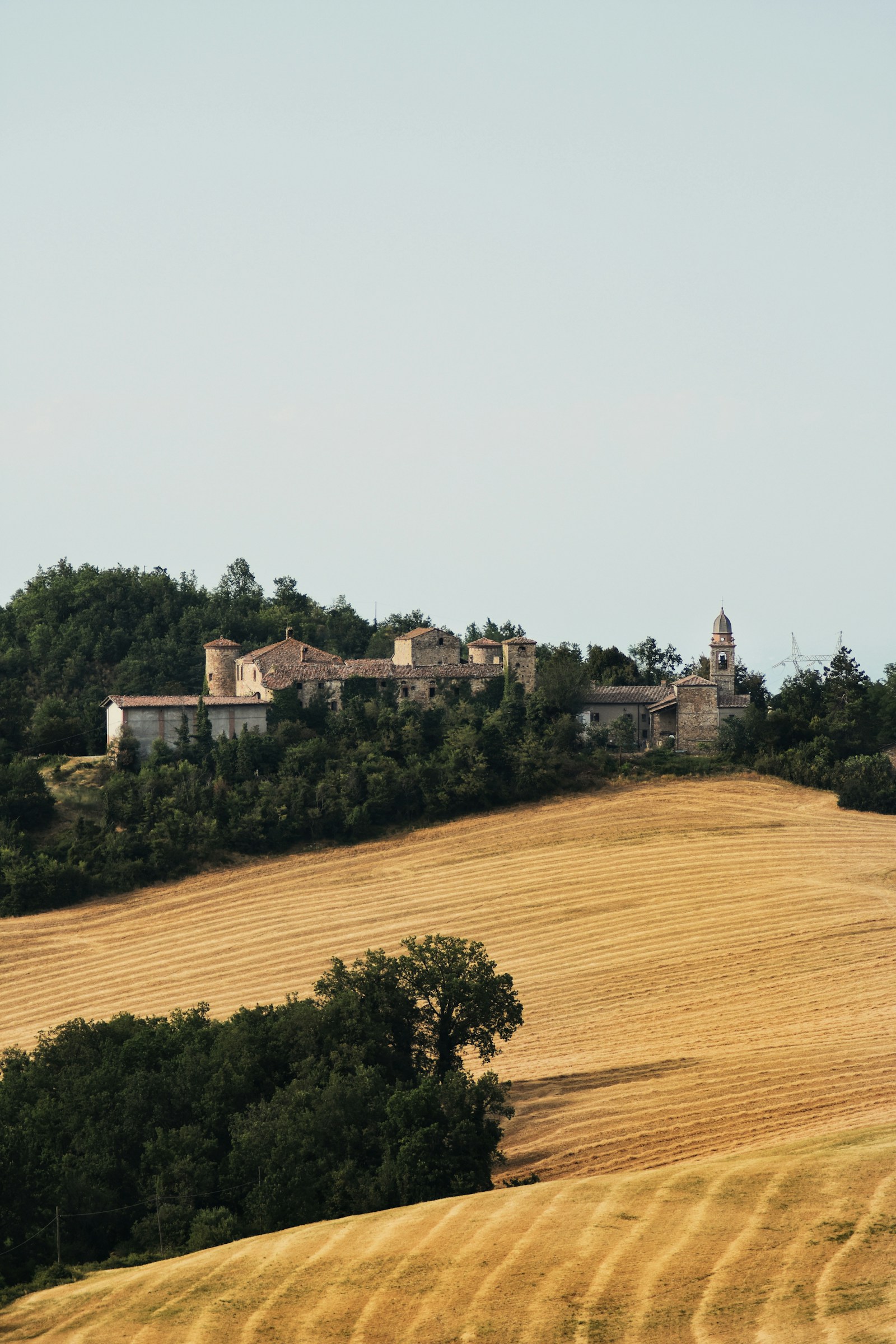 Borgo collinare e campo di grano